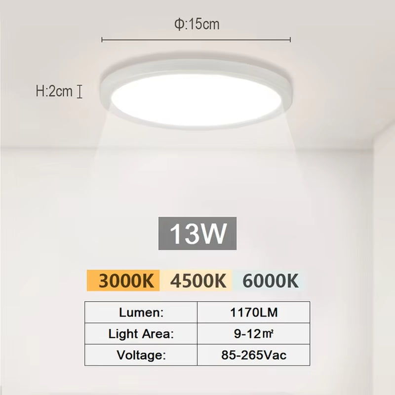 Minimalist Ceiling Lights